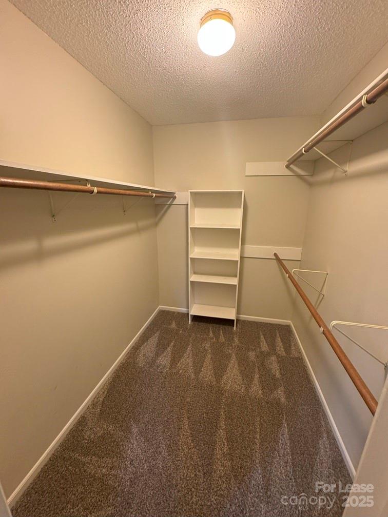 578 Wren Road Gastonia, NC 28056 - Photo 10 of 12 a view of walk in closet with empty racks