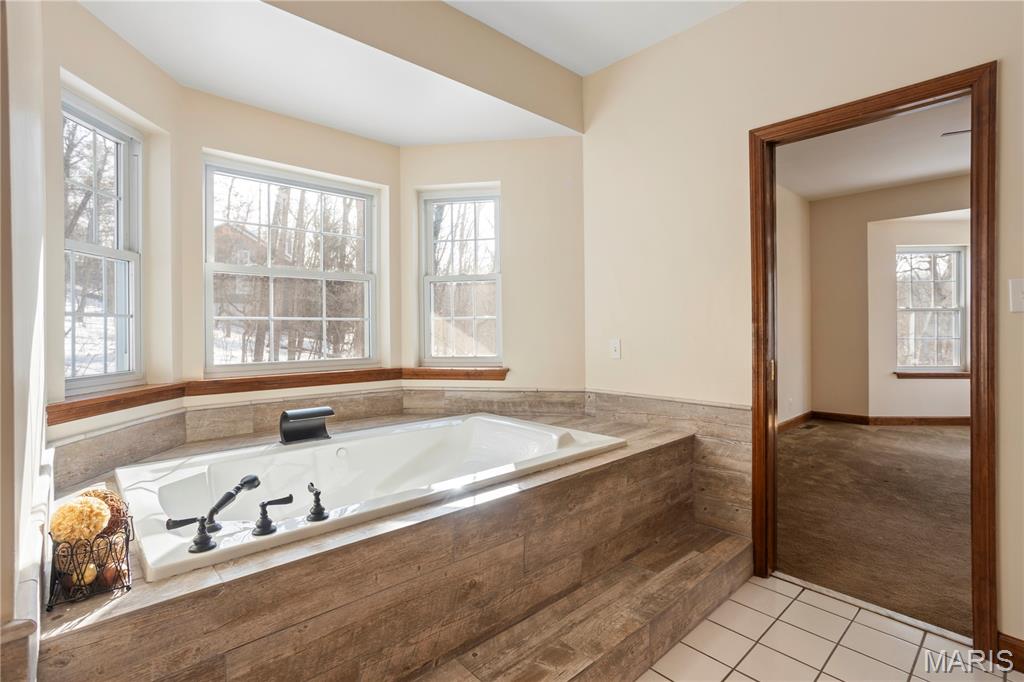 179 Apache Drive Pacific, MO 63069 - Photo 34 of 57