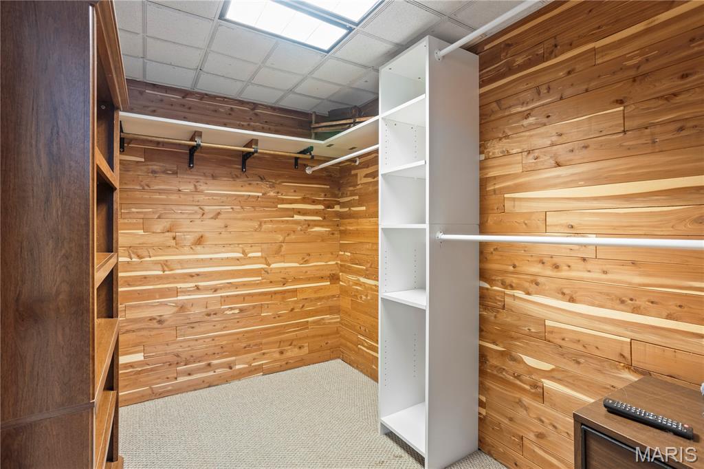 179 Apache Drive Pacific, MO 63069 - Photo 47 of 57