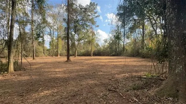 $275,000 | 10398 Lee Settlement Road, Folsom, LA 70437