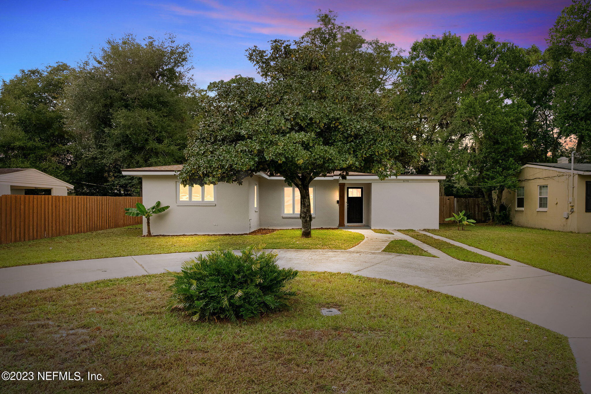 a view of a backyard