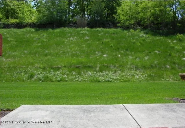 a view of a green yard