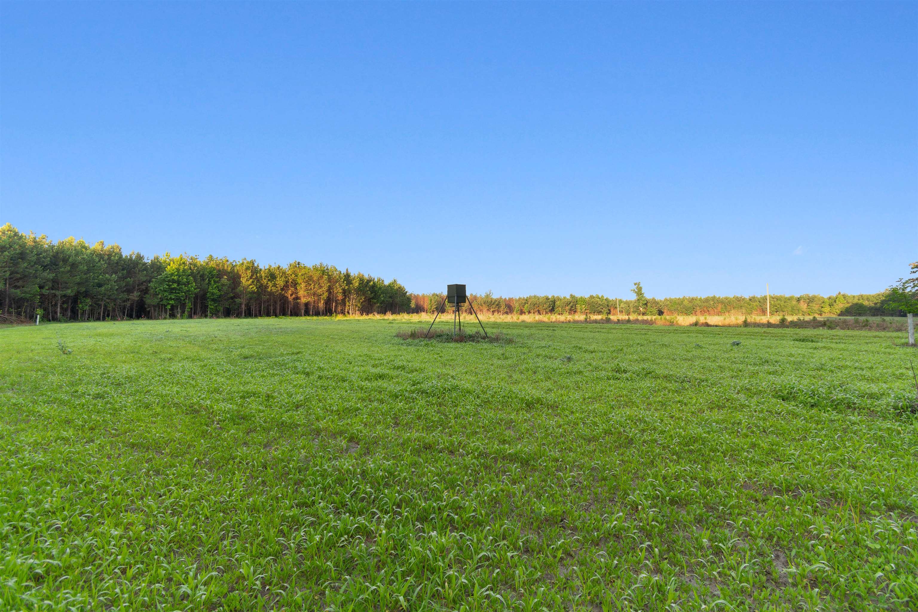 77-acres - Tbd Bert Hanna Road Hemingway, SC 29554 - Photo 10 of 28