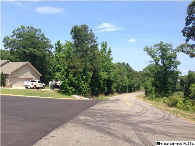 16893 Wesley Chapel Road Ralph, AL 35480 - Photo 2 of 8