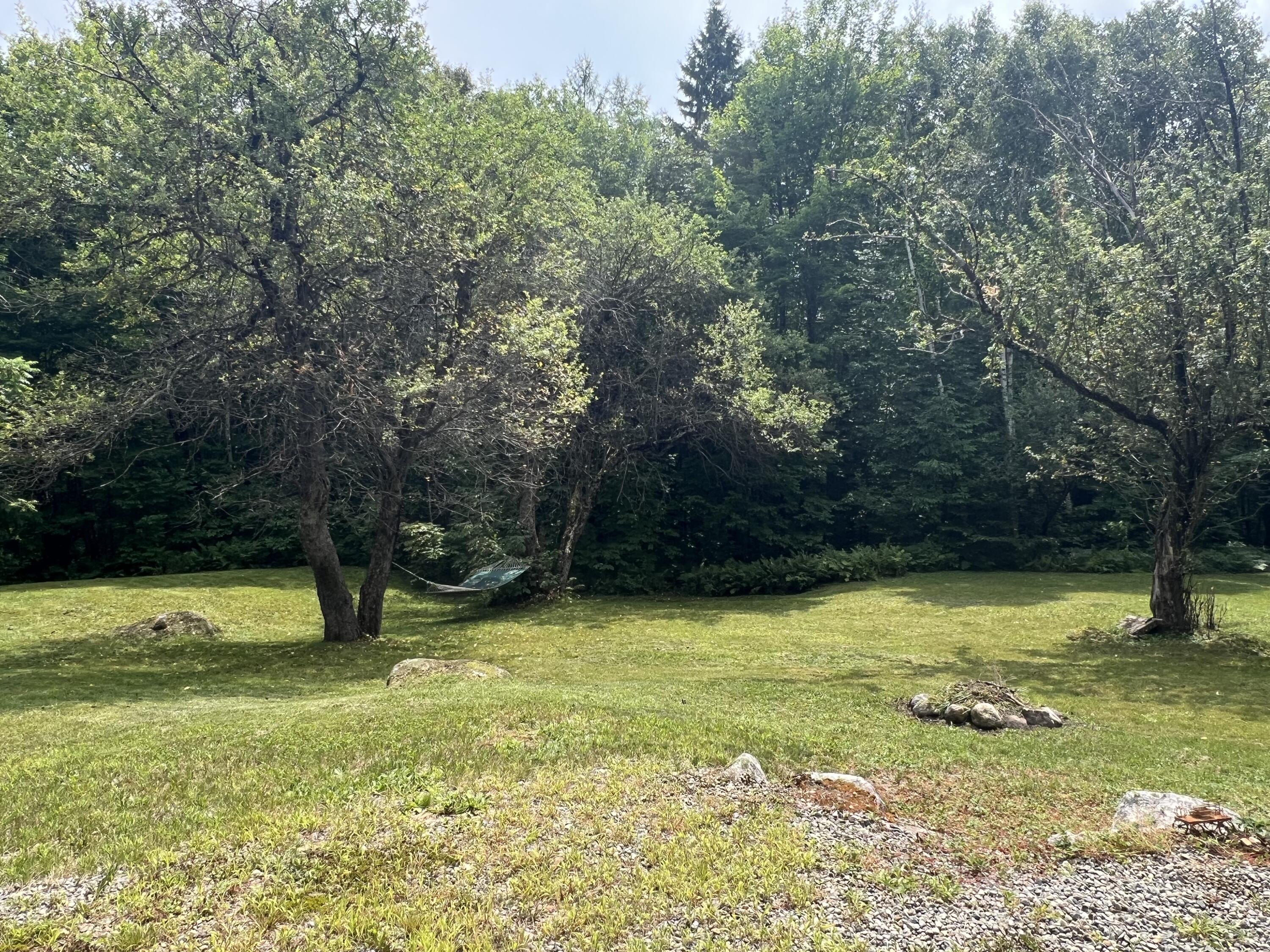 811 Bog Road New Portland, ME 04961 - Photo 30 of 32 Apple trees watch over the front yard