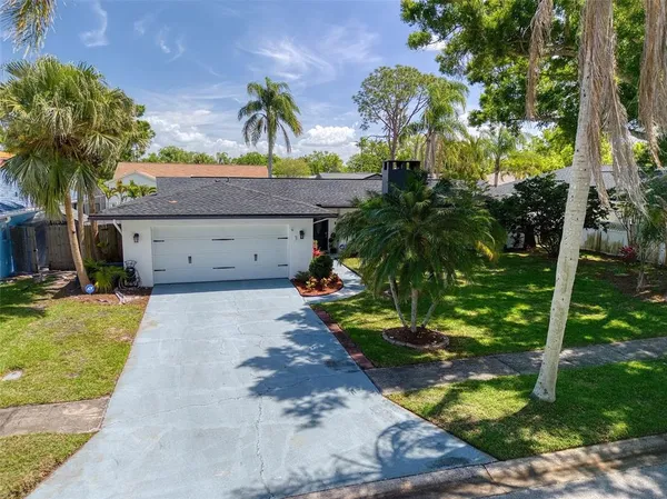 a view of a house with a yard and plants