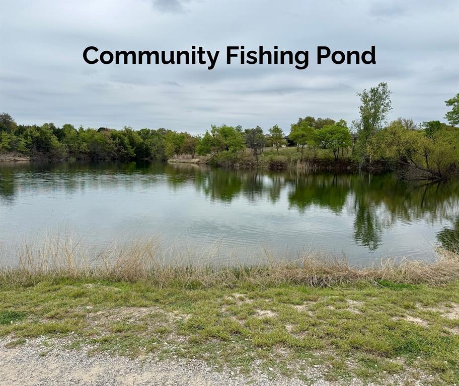 1059 Sweeney Way Weatherford, TX 76087 - Photo 35 of 37 a view of a lake