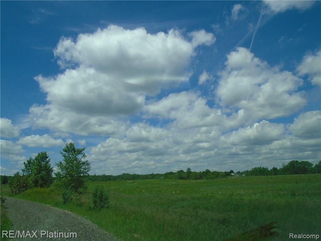 Parcel G Hacker Road Howell, MI 48843 - Photo 8 of 14