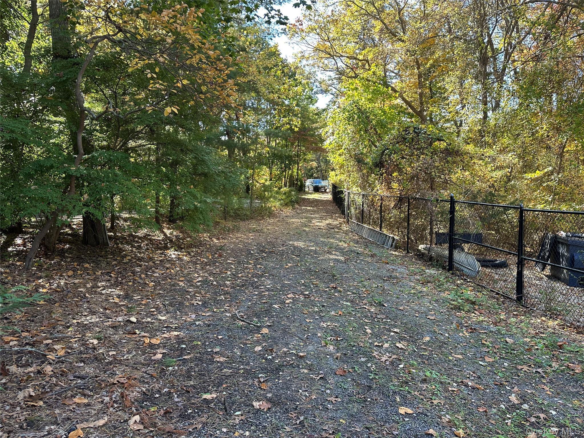 910 Flanders Road Flanders, NY 11901 - Photo 4 of 9 View of dirt / gravel road featuring a forest view