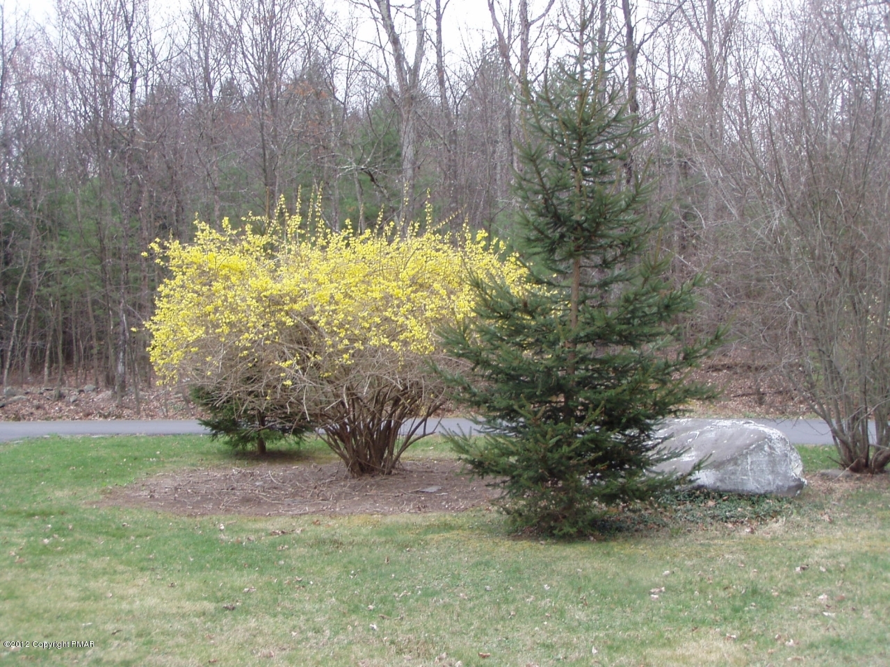 26 Stadden Road Stroudsburg, PA 18360 - Photo 5 of 16 Nice corner landscaping!