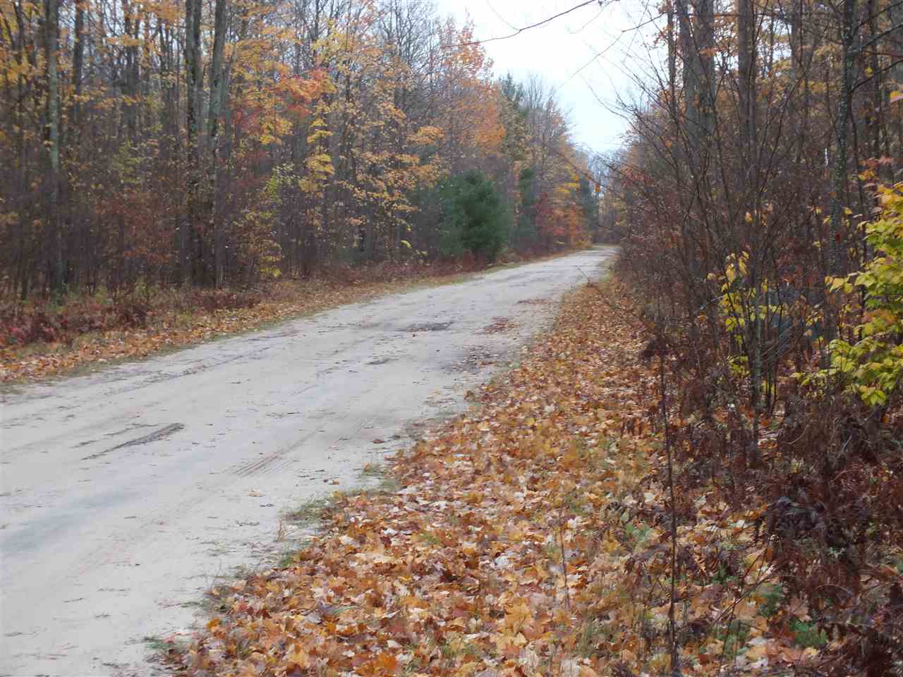16 Roberts Road Beulah, MI 49617 - Photo 15 of 18 1824993-14.JPG