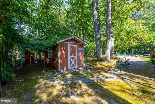 a view of a backyard with plants and large trees