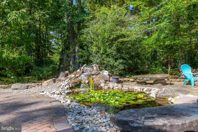 a view of a garden with a tree