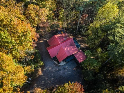 a view of a yard with plants