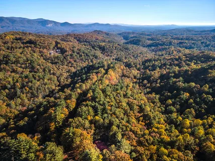 an aerial view of residential house and green space