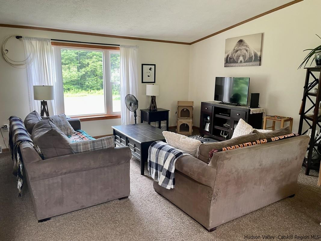 302 Springfield Hill Road Cooperstown, NY 13326 - Photo 5 of 19 a living room with furniture and a large window
