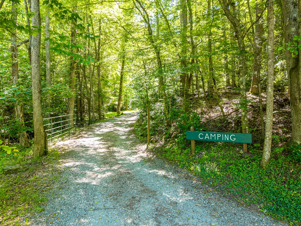 775 Mountain Oak Road Ellijay, GA 30536 - Photo 100 of 106 Amenities