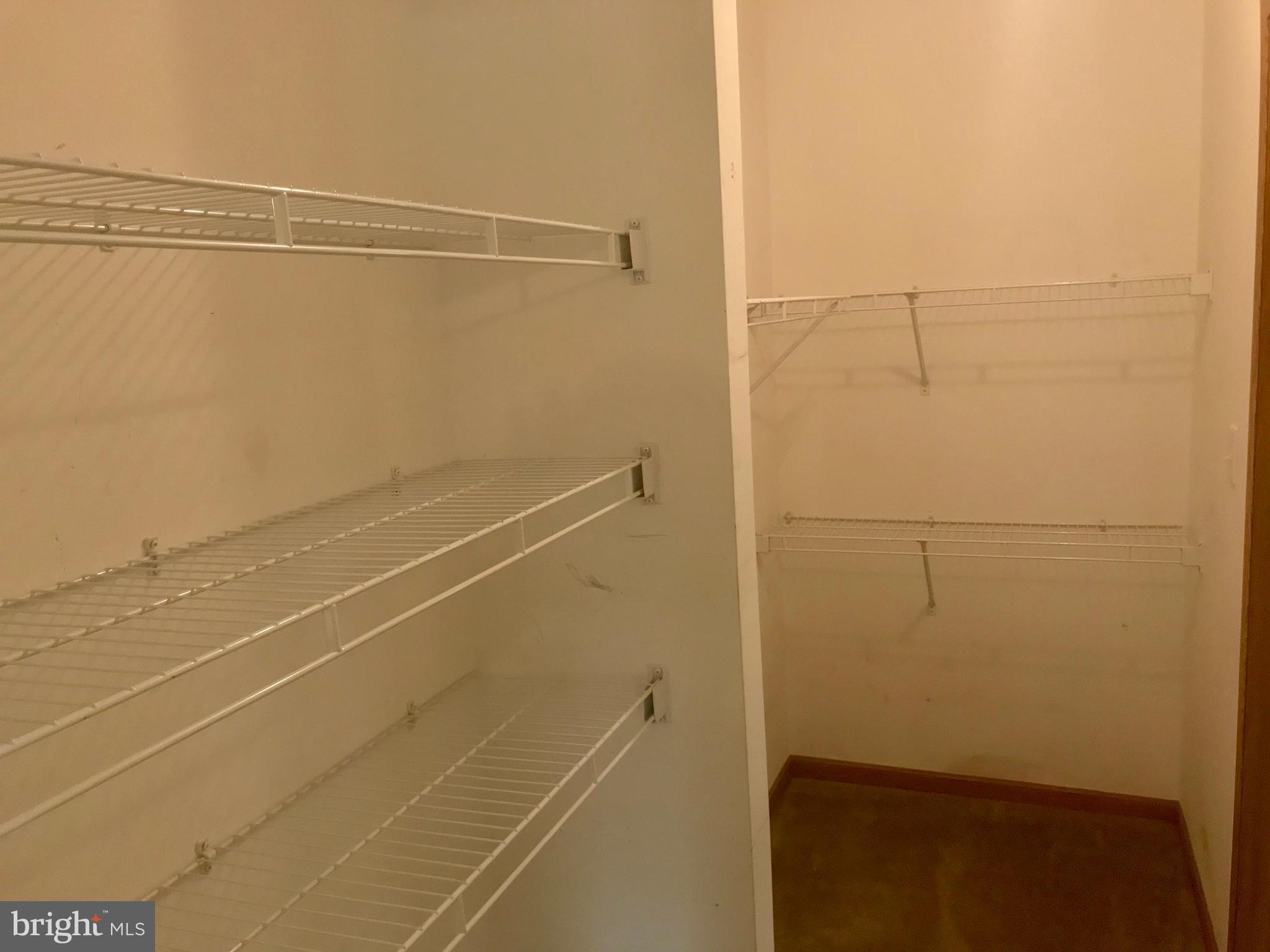 202 Teal Road Martinsburg, WV 25405 - Photo 8 of 25 Large Walk-in Closet in the Master Bedroom