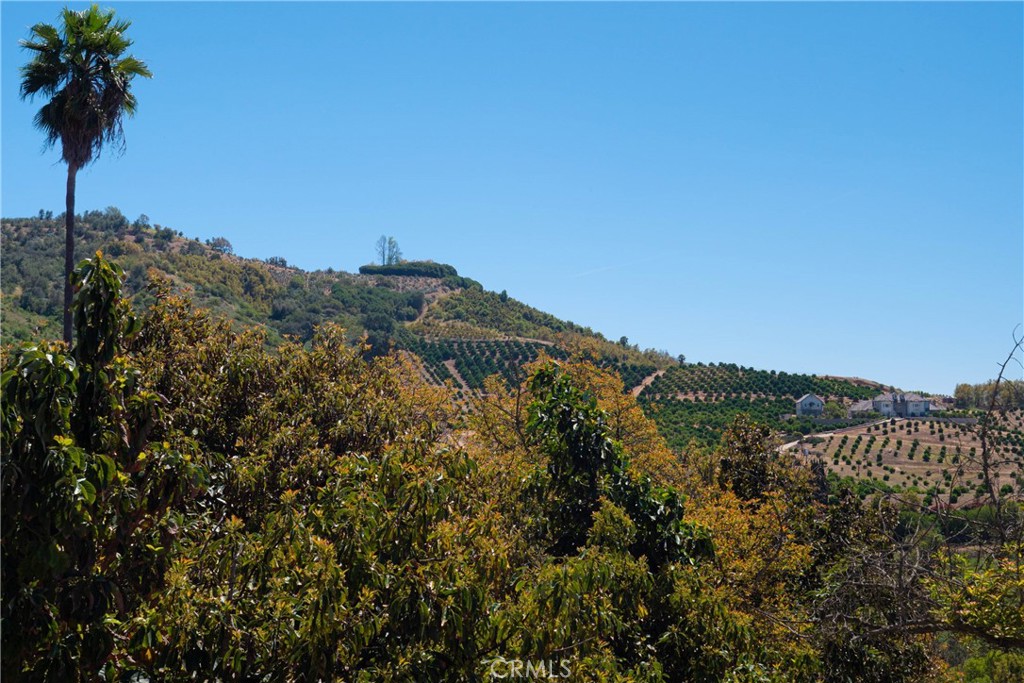 6 El Prado Road Temecula, CA 92590 - Photo 7 of 10