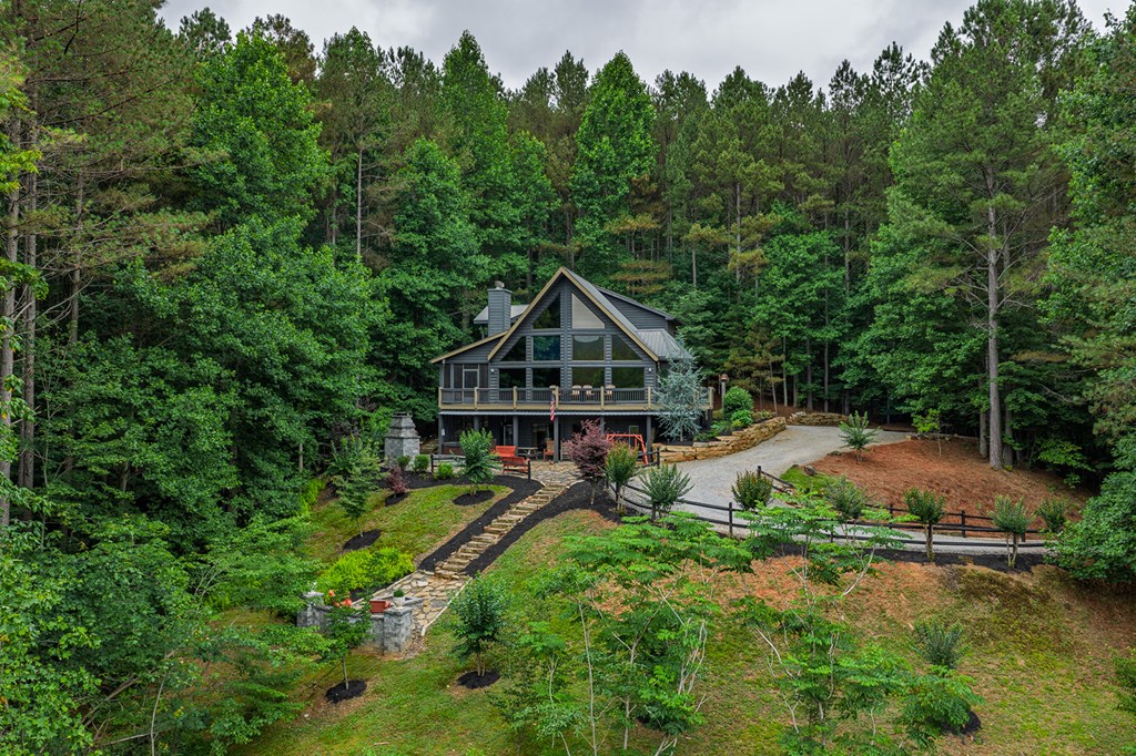55 Ridge Top Drive Ellijay, GA 30536 - Photo 9 of 76