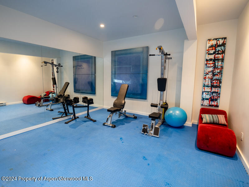 1711 Juniper Hill Road Aspen, CO 81611 - Photo 7 of 19 a room with furniture and gym equipment