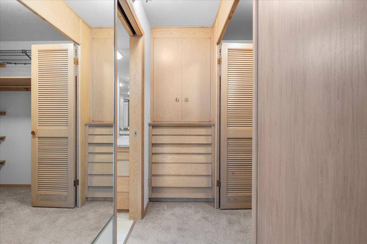 1610 North Prospect Avenue, Unit 506 Milwaukee, WI 53202 - Photo 16 of 29 Primary Closet