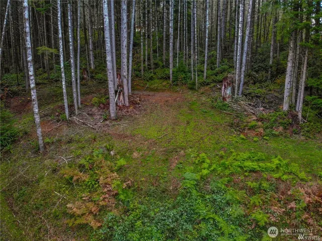 $85,000 | 1 Bison Run, Longview, WA 98632