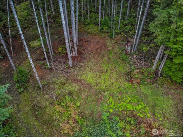 $85,000 | 1 Bison Run, Longview, WA 98632