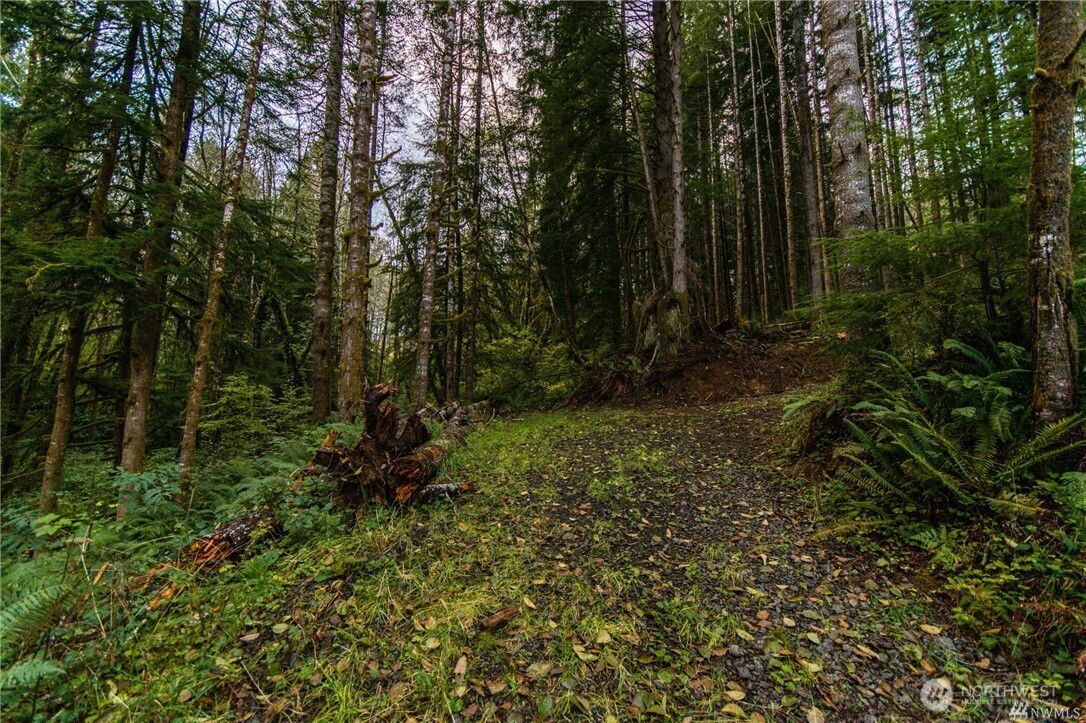 1 Bison Run Longview, WA 98632 - Photo 6 of 9