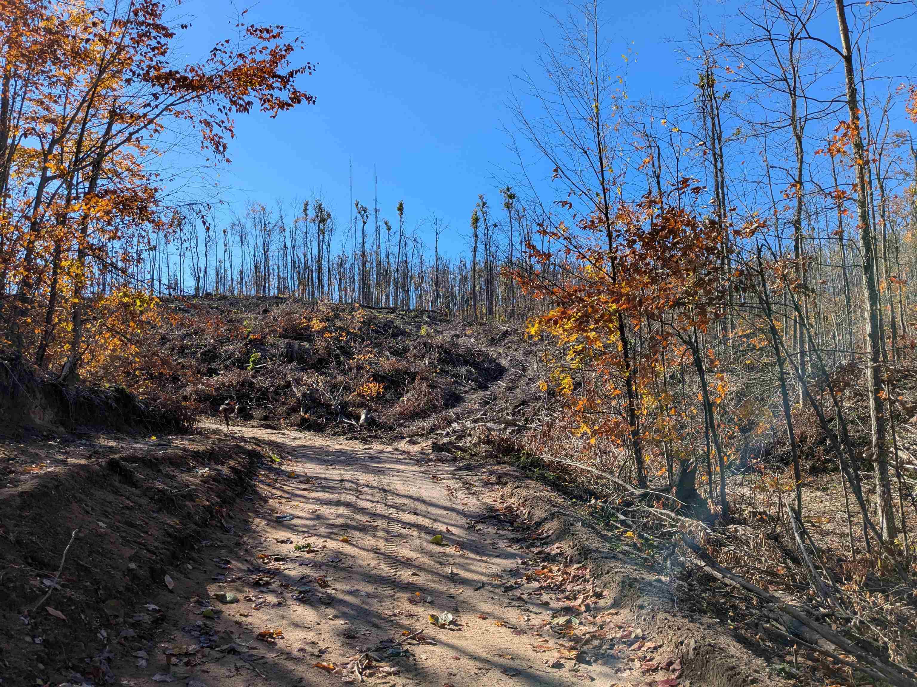 V/l Off Tower Road, Unit LOT: 6 8 9 Vanderbilt, MI 49795 - Photo 3 of 15