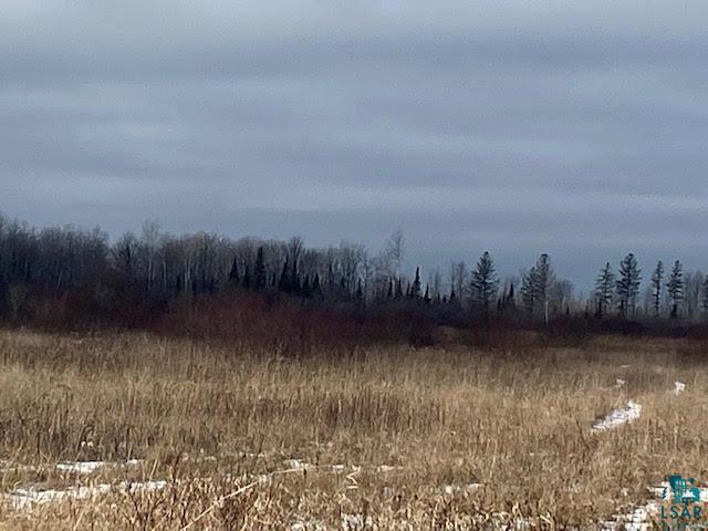 Xxxx South Ritzen Road Poplar, WI 54864 - Photo 3 of 7