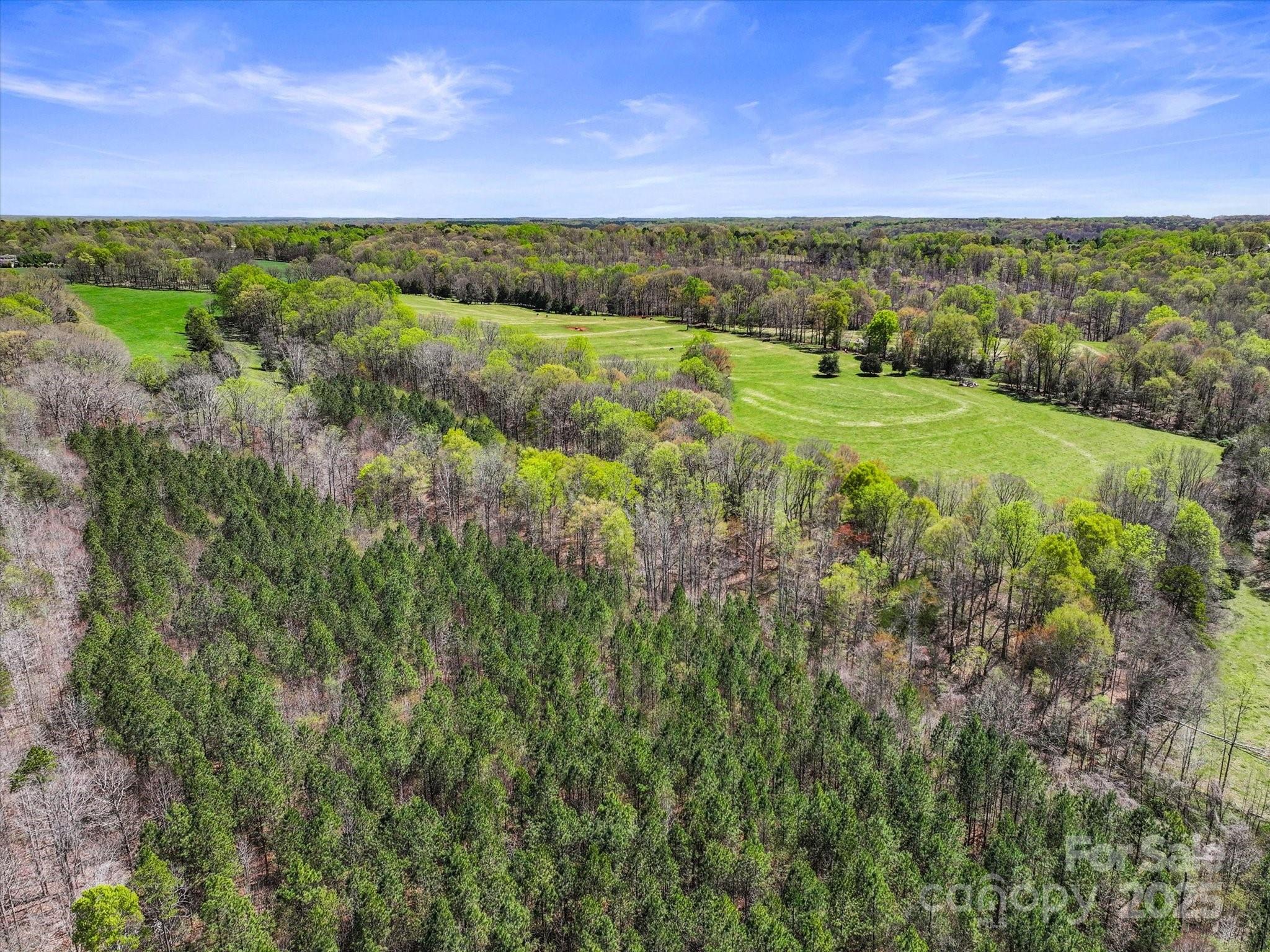 2122 Hewitt Road Claremont, NC 28610 - Photo 12 of 20 a view of a green field with lots of bushes