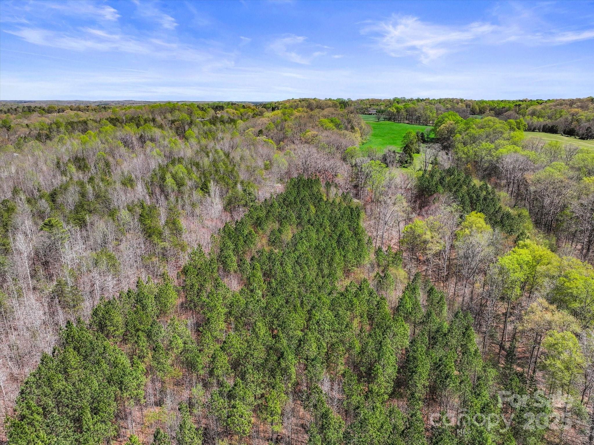 2122 Hewitt Road Claremont, NC 28610 - Photo 13 of 20 a view of a city with lush green forest
