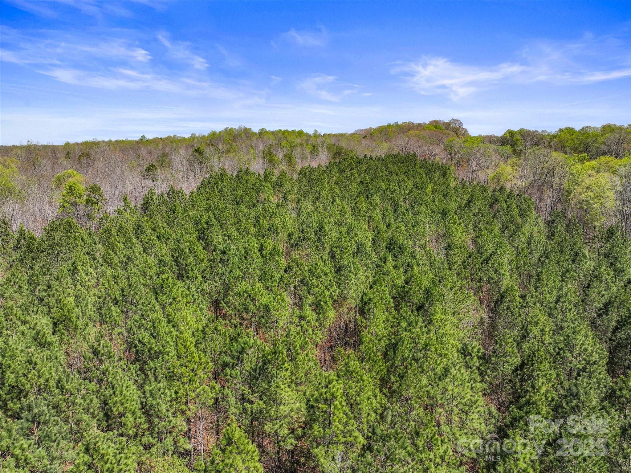 2122 Hewitt Road Claremont, NC 28610 - Photo 14 of 20 a view of mountain with lake