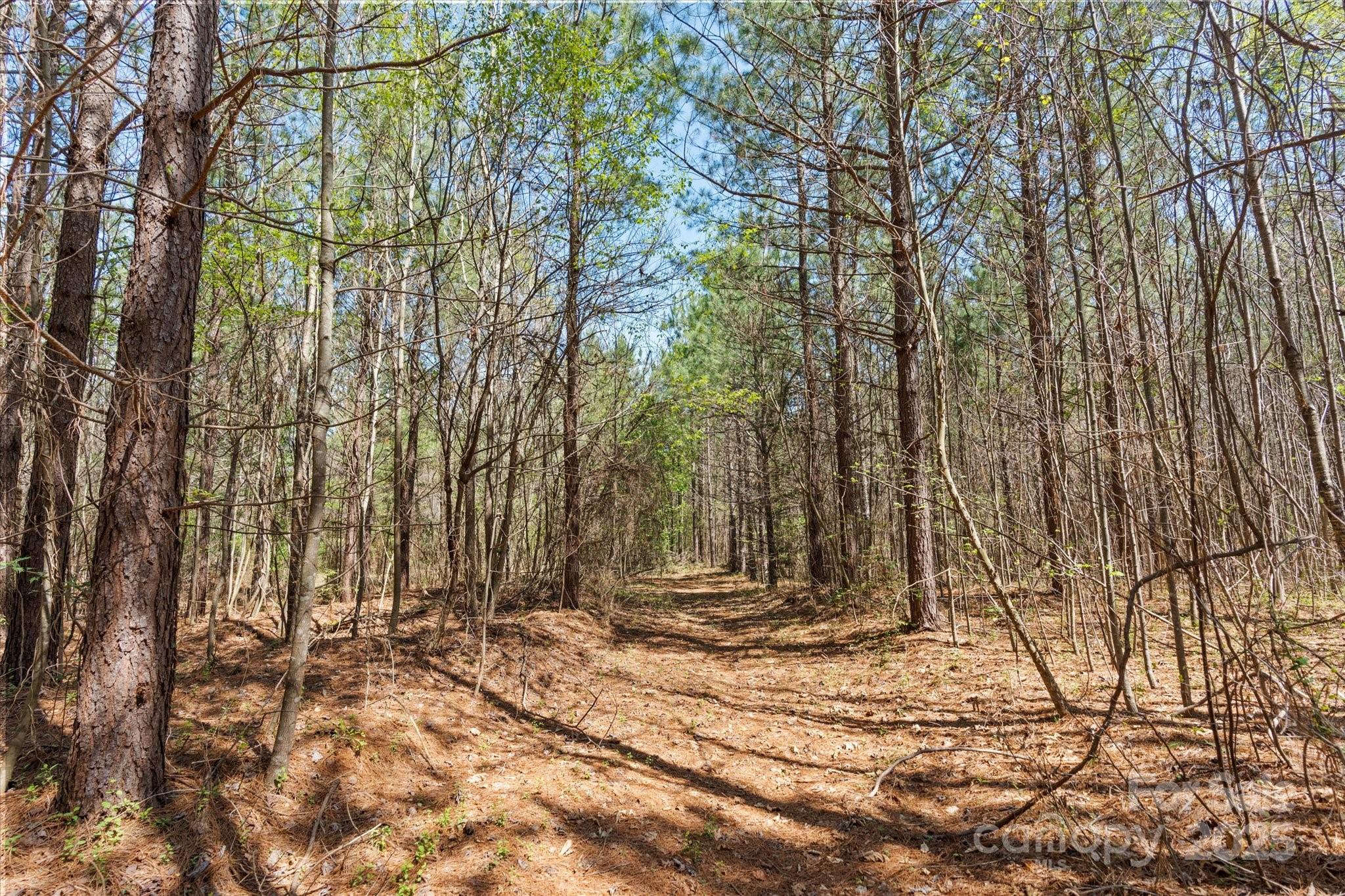 2122 Hewitt Road Claremont, NC 28610 - Photo 19 of 20 a view of house with trees