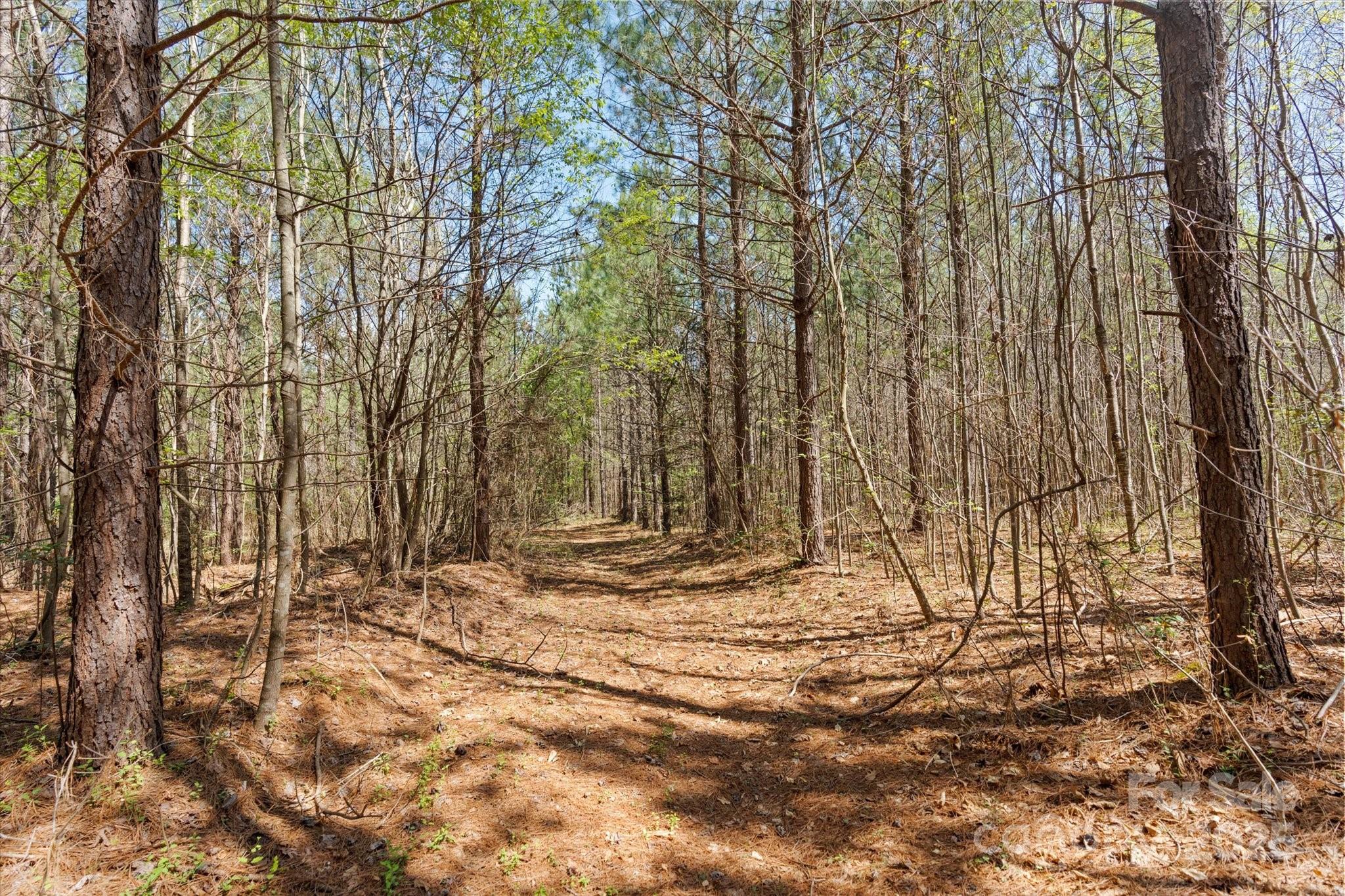 2122 Hewitt Road Claremont, NC 28610 - Photo 5 of 20 a view of outdoor space with trees