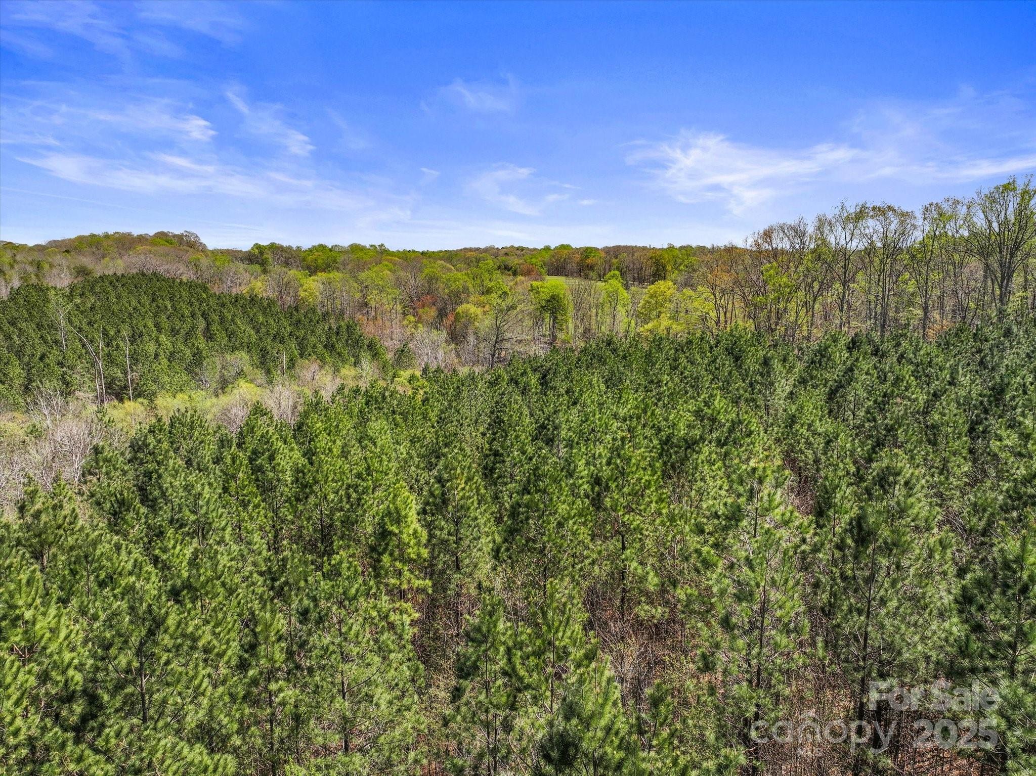 2122 Hewitt Road Claremont, NC 28610 - Photo 7 of 20 a view of a city with lush green forest