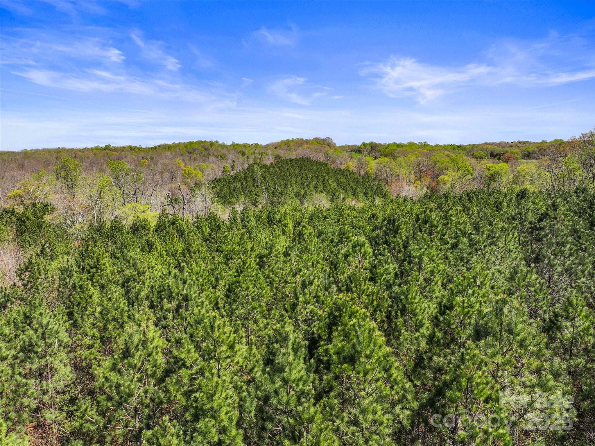 2122 Hewitt Road Claremont, NC 28610 - Photo 8 of 20 a view of a lush green space with sea