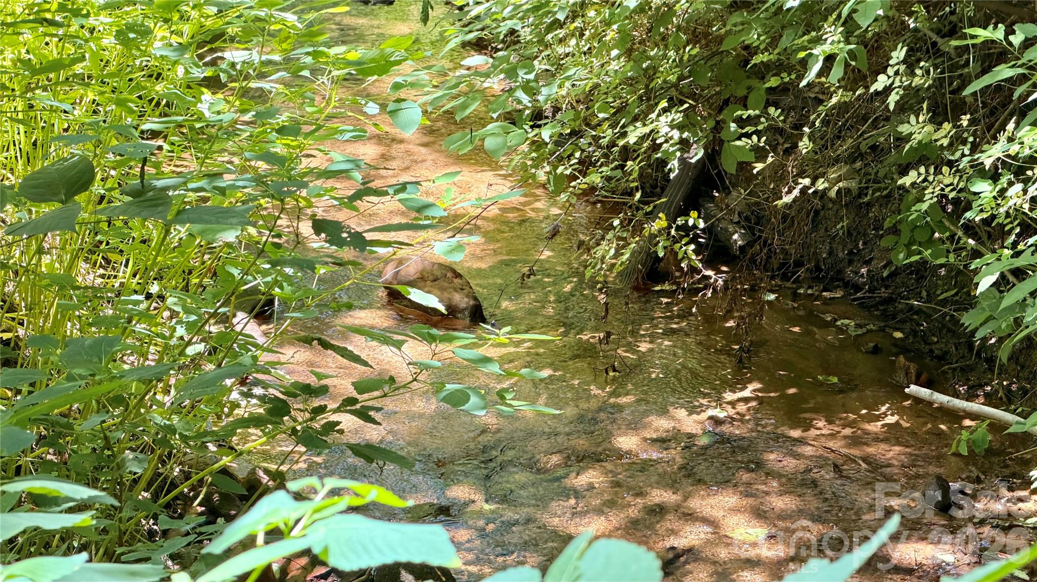 404 Blue Ridge Road Black Mountain, NC 28711 - Photo 6 of 9