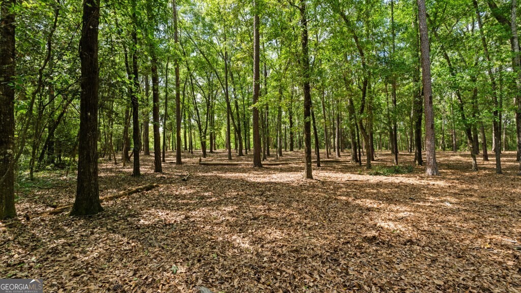0 Coakley And Slade Avenue Albany, GA 31721 - Photo 20 of 21 a view of outdoor space with trees