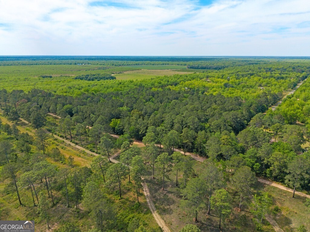 0 Coakley And Slade Avenue Albany, GA 31721 - Photo 6 of 21 a view of yard with ocean