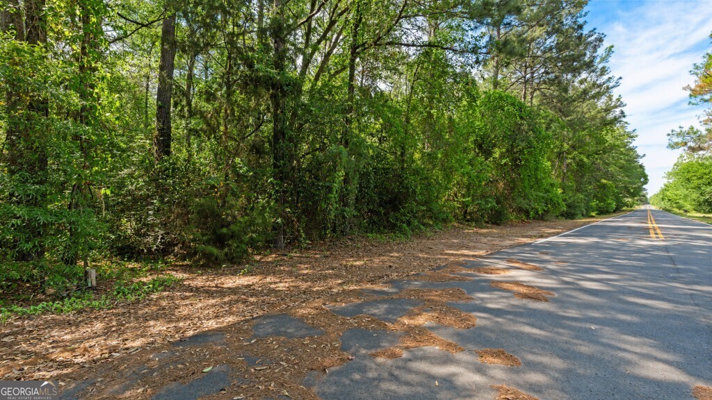 0 Coakley And Slade Avenue Albany, GA 31721 - Photo 7 of 21 a view of outdoor space with trees