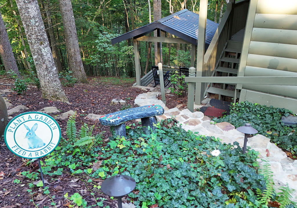344 Buck Ridge Road Suches, GA 30572 - Photo 16 of 50 Gallery Image 16