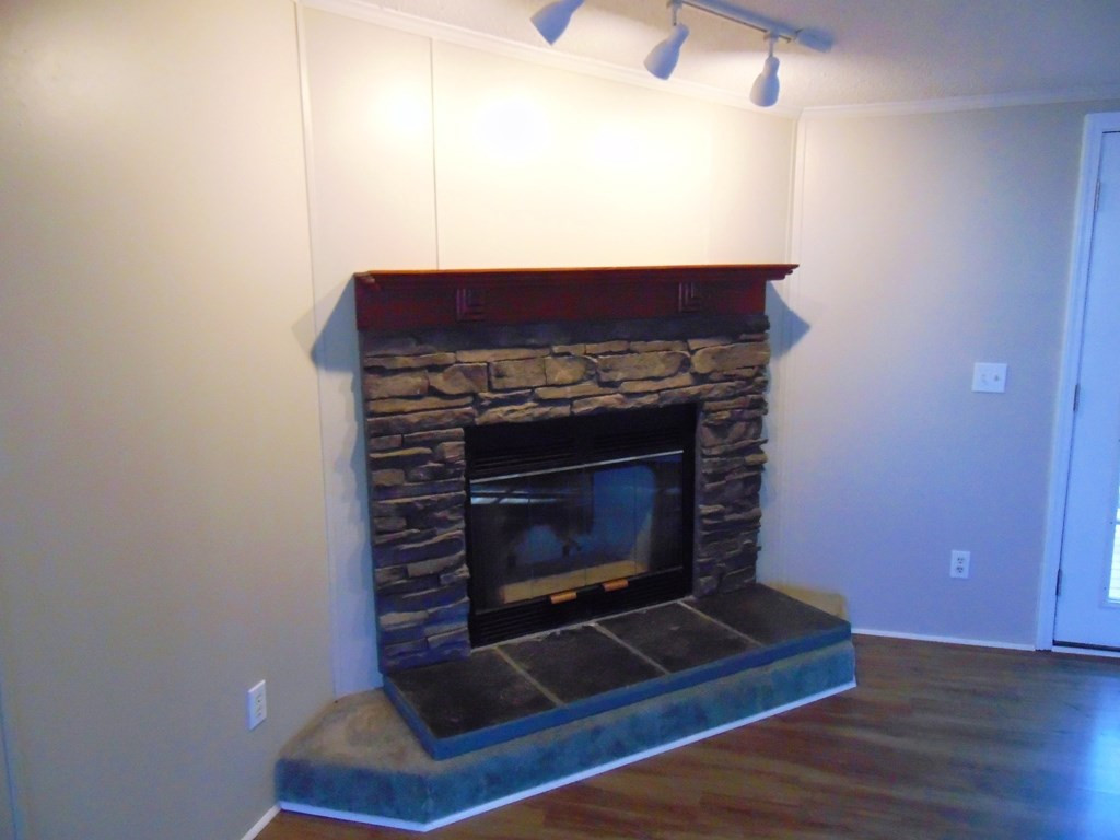 775 Massengill Pond Road Angier, NC 27501 - Photo 21 of 21 Fireplace