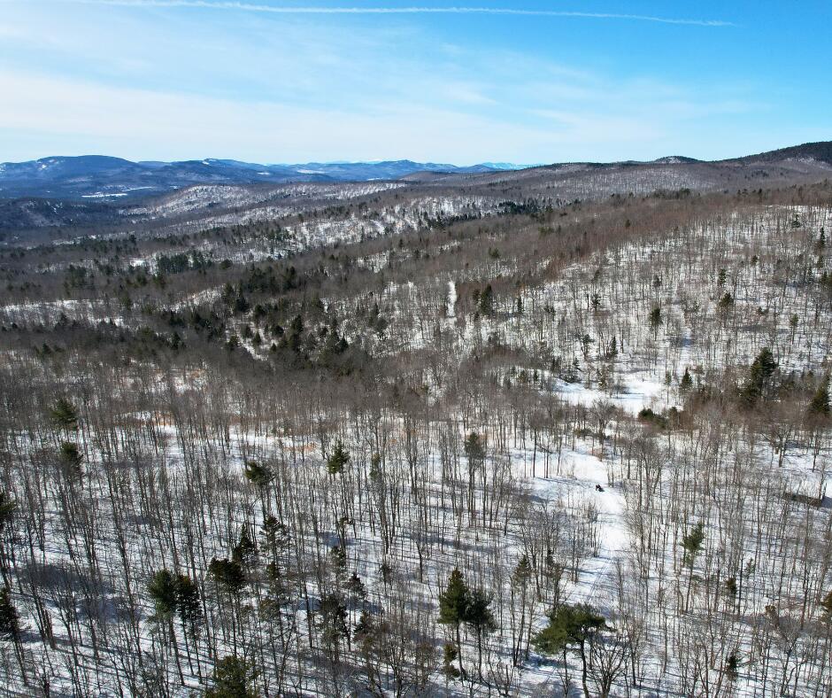 0 Canton Mountain Road Canton, ME 04221 - Photo 6 of 93