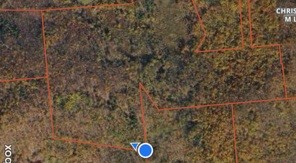 0 Baker Road Otego, NY 13825 - Photo 12 of 39