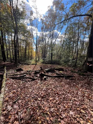 $239,000 | 0 Baker Road, Otego, NY 13825