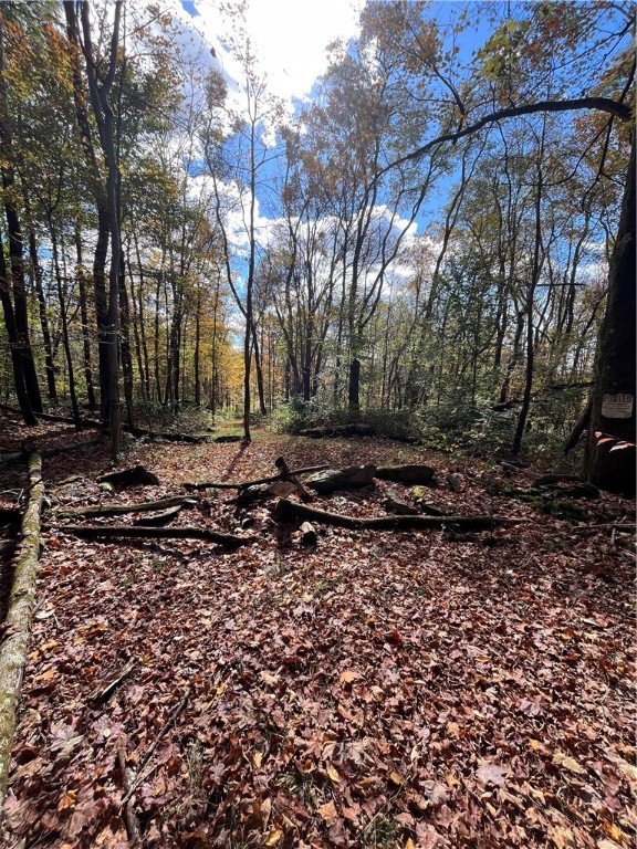 0 Baker Road Otego, NY 13825 - Photo 14 of 39