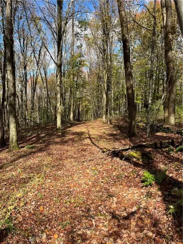 $239,000 | 0 Baker Road, Otego, NY 13825