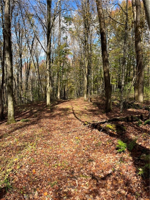 0 Baker Road Otego, NY 13825 - Photo 16 of 39